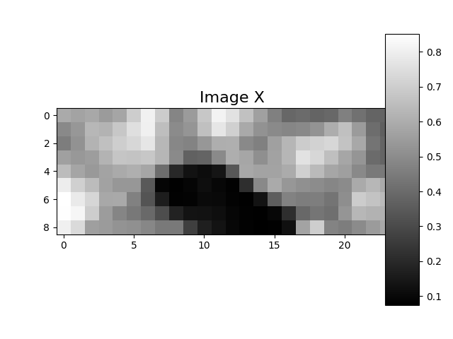 Image X