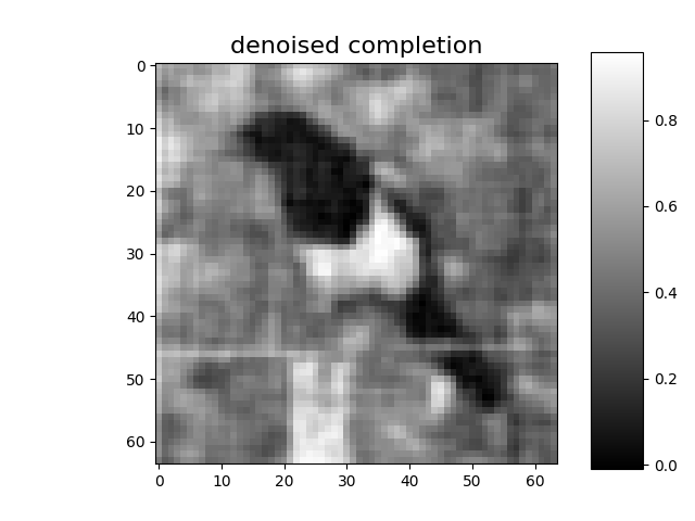 denoised completion
