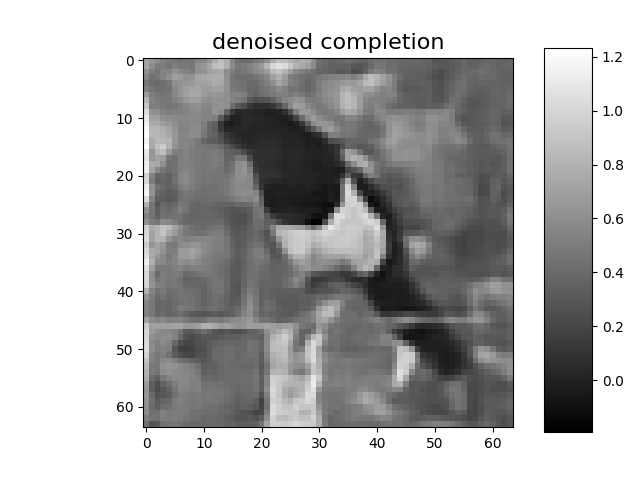 denoised completion