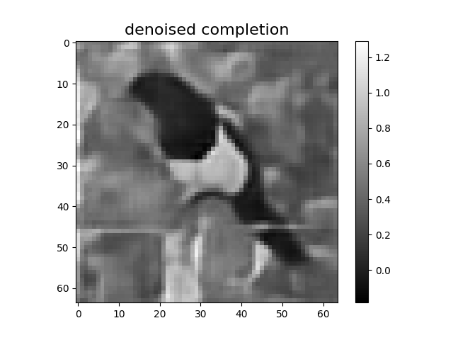 denoised completion