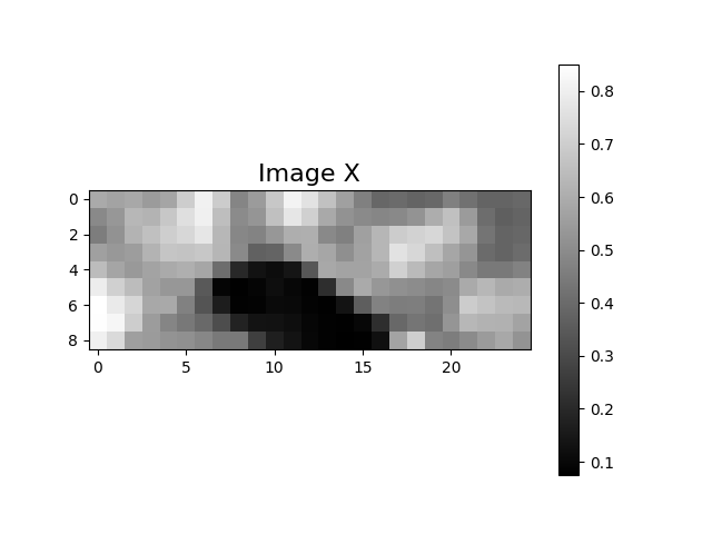 Image X