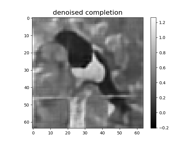 denoised completion
