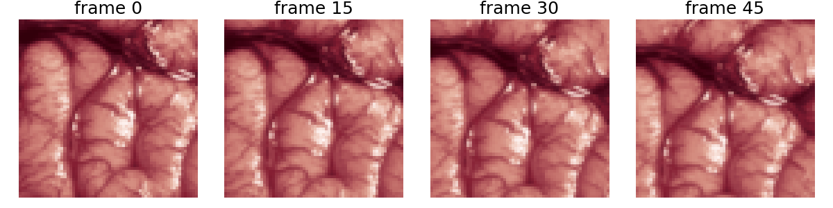 frame 0, frame 15, frame 30, frame 45