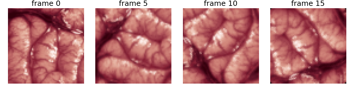 frame 0, frame 5, frame 10, frame 15