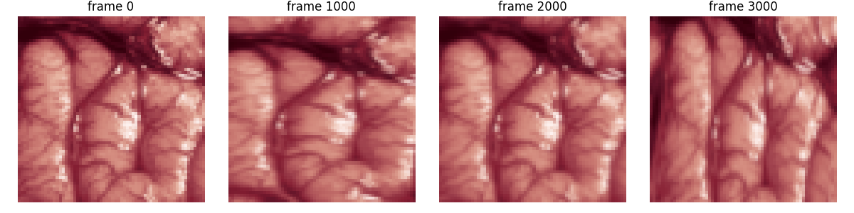 frame 0, frame 1000, frame 2000, frame 3000
