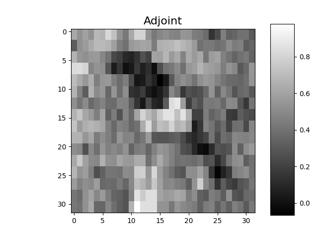 Adjoint