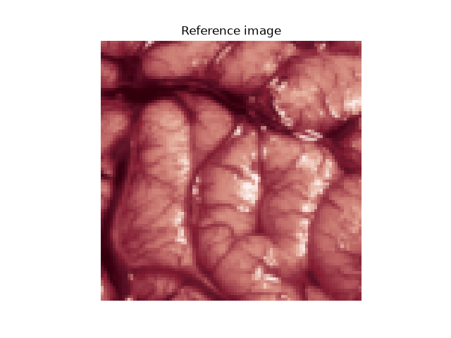 Reference image