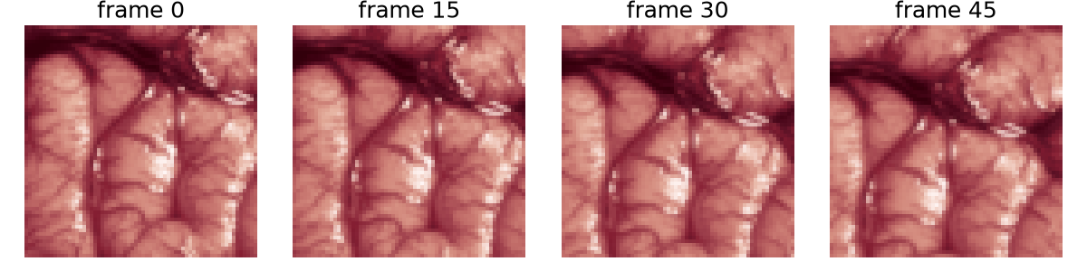 frame 0, frame 15, frame 30, frame 45