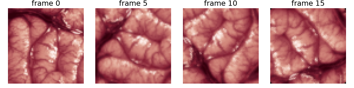 frame 0, frame 5, frame 10, frame 15