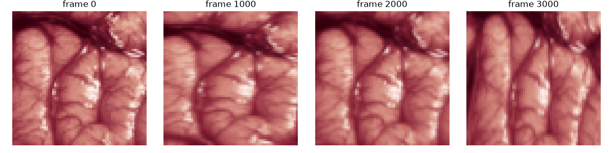 frame 0, frame 1000, frame 2000, frame 3000