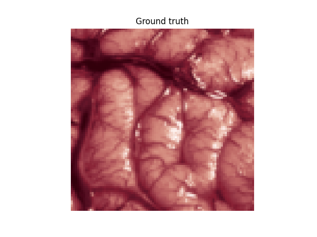 Ground truth